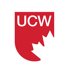 Finance Manager